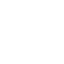 development service