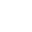 development service
