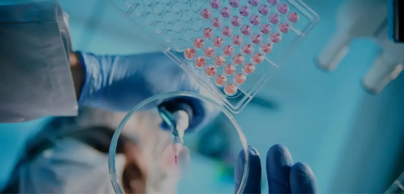 Role of CTMS in Drug Development