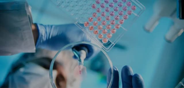 Role of CTMS in Drug Development