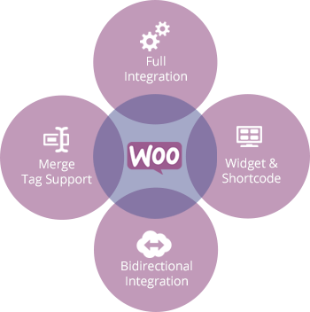 woocommerce-development-service