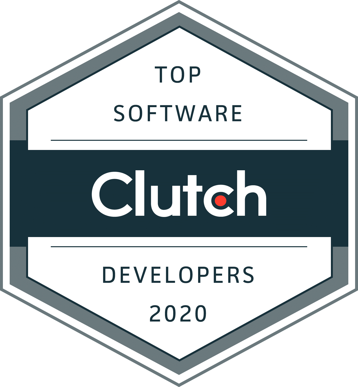 Software Developers