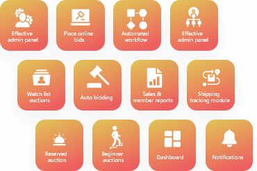 auction platform development services life cycle